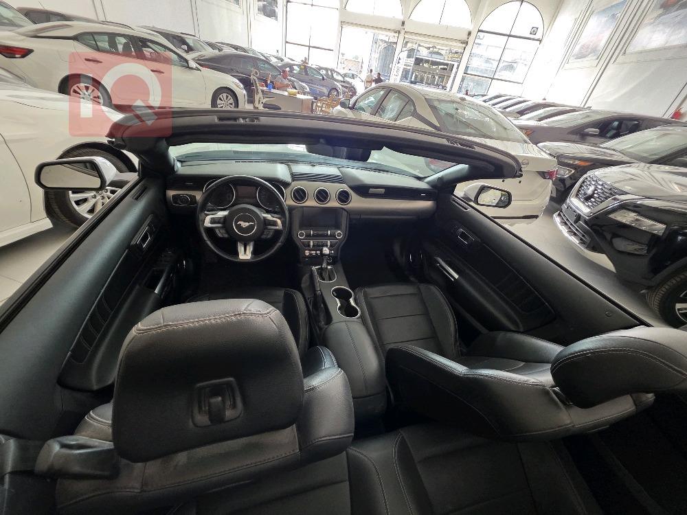 https://cdn.iqcars.ioscaled_1000067162_out.jpg